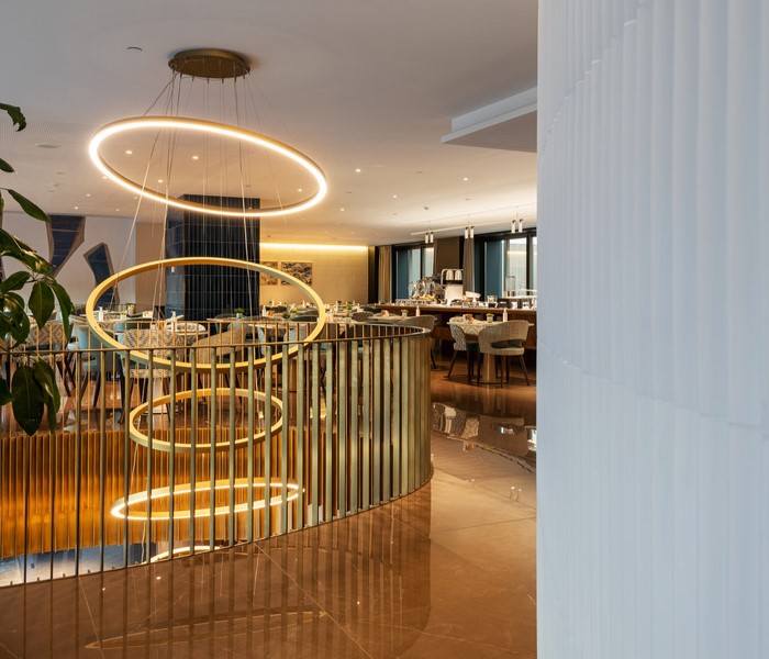 circular design suspension light